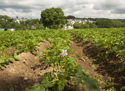 Une journée d’échanges avec les agriculteurs du territoire à Breizh Transition