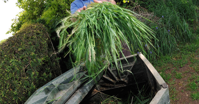 Les ateliers compostages : bien réaliser son compost !