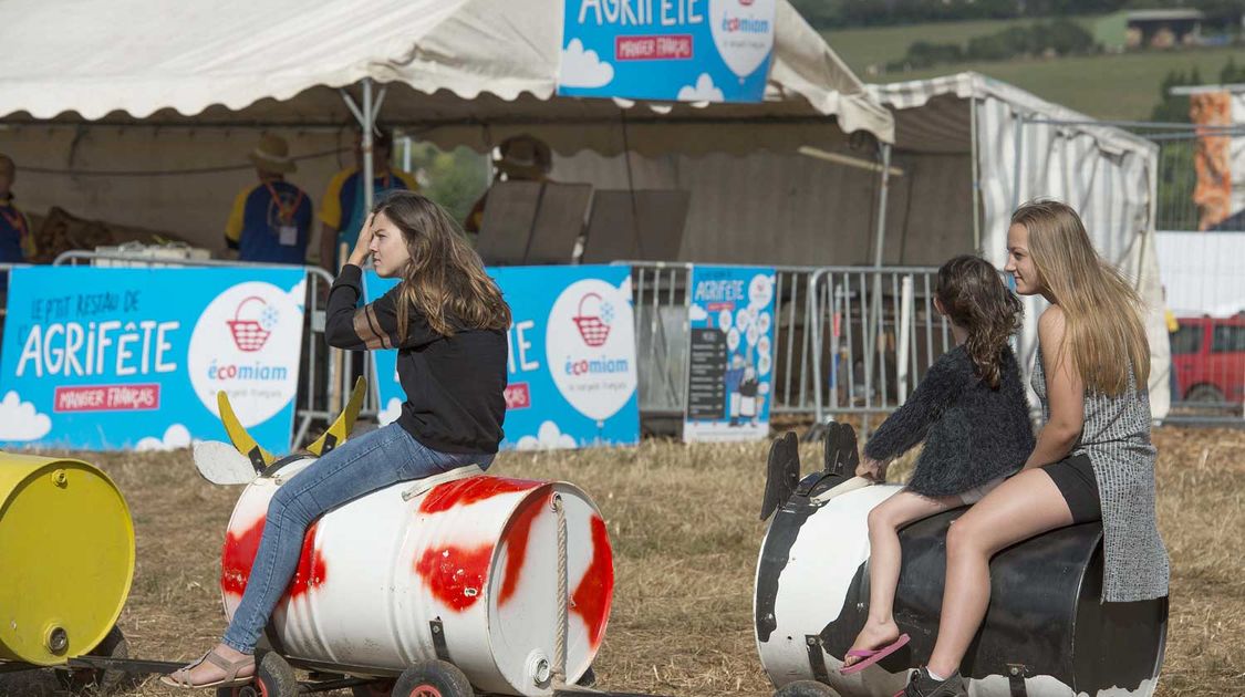 Agrifête à Quimper sur le site de Coat Bily le 21 août 2016 (19)