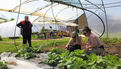 Les 48h de l'agriculture urbaine 2026