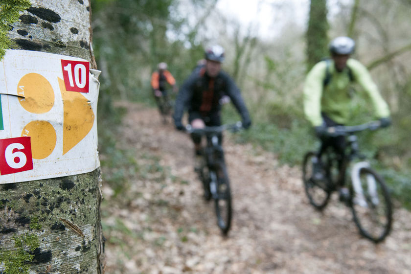 Sur un parcours de VTT à Ergué-Gabéric.