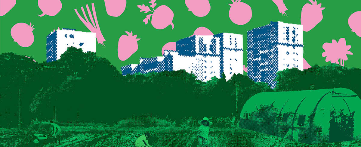 Les 48h de l’agriculture urbaine : du 23 au 26 avril 2026 