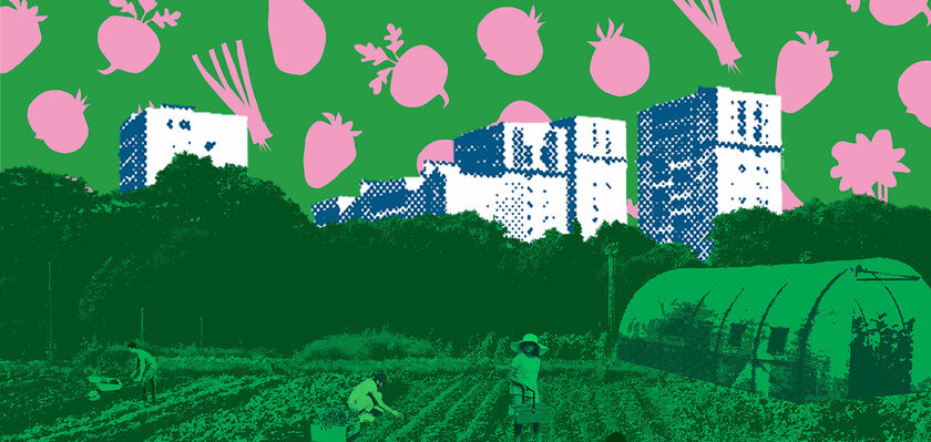 Les 48h de l’agriculture urbaine : du 23 au 26 avril 2026 