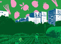 Les 48h de l’agriculture urbaine : du 23 au 26 avril 2026 