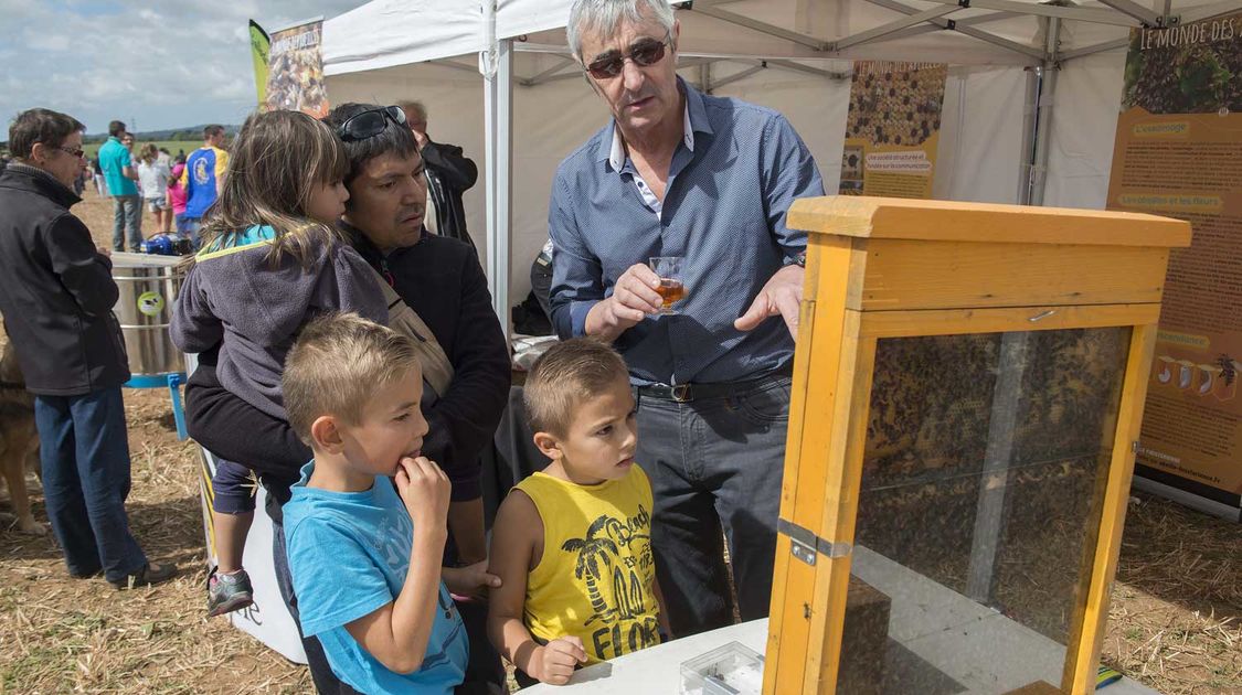 Agrifête à Quimper sur le site de Coat Bily le 21 août 2016 (12)