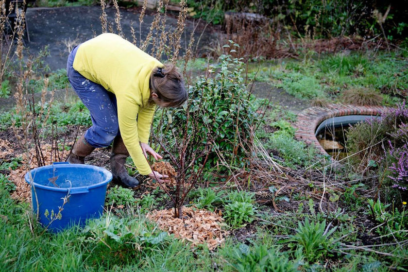 Le défi jardin zéro déchet, 8 mois pour faire de son jardin une ressource