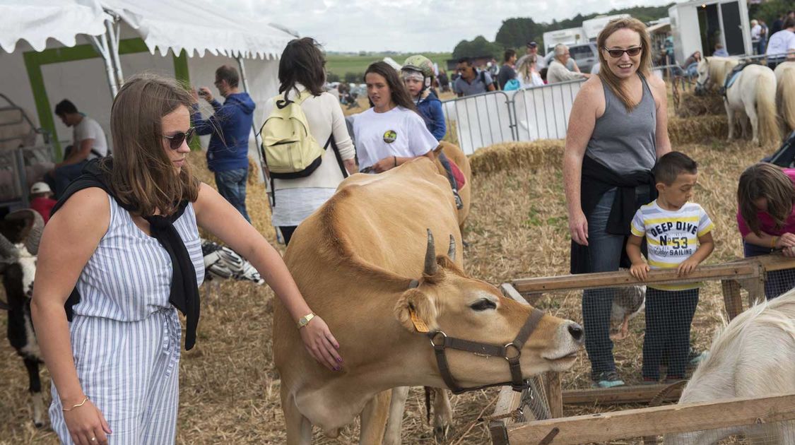 Agrifête à Quimper sur le site de Coat Bily le 21 août 2016 (13)