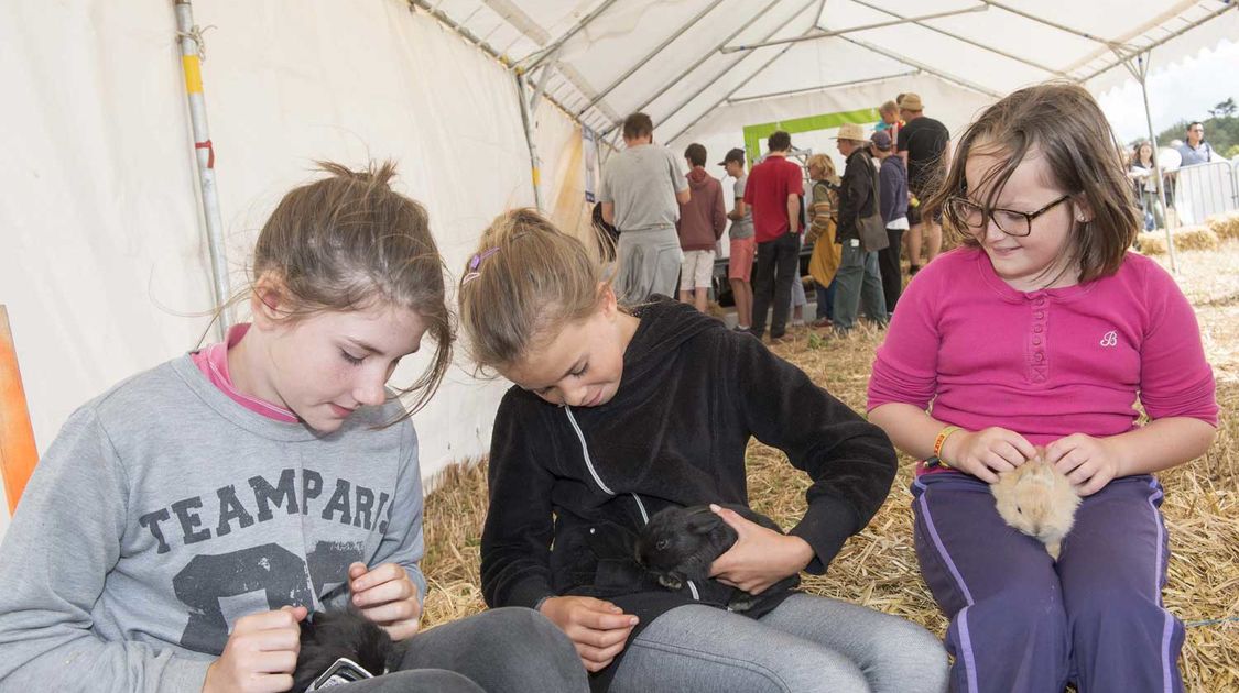 Agrifête à Quimper sur le site de Coat Bily le 21 août 2016 (14)