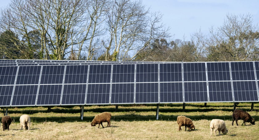 Cap vers la transition énergétique 