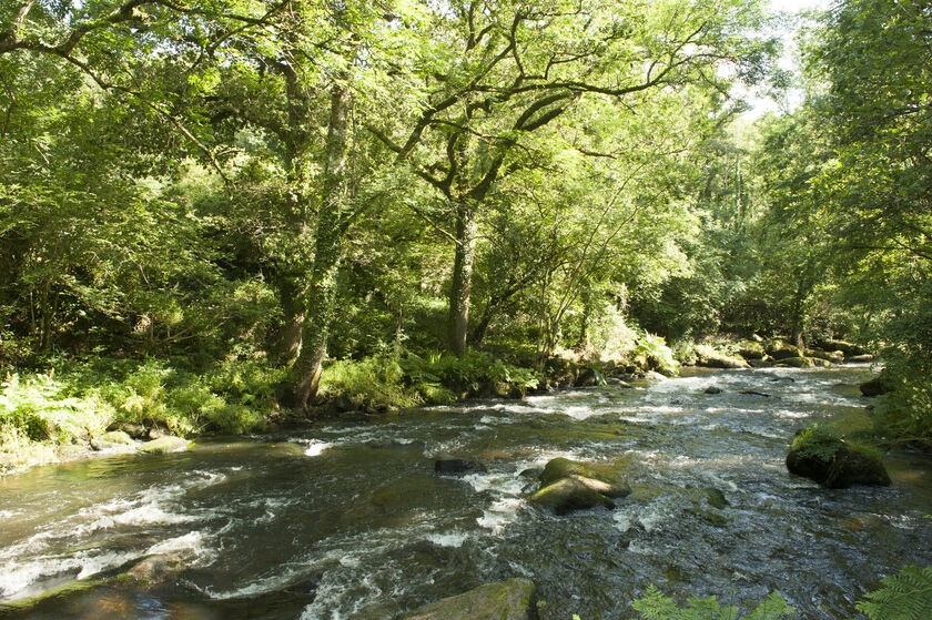 La journée de l’environnement à Quimper