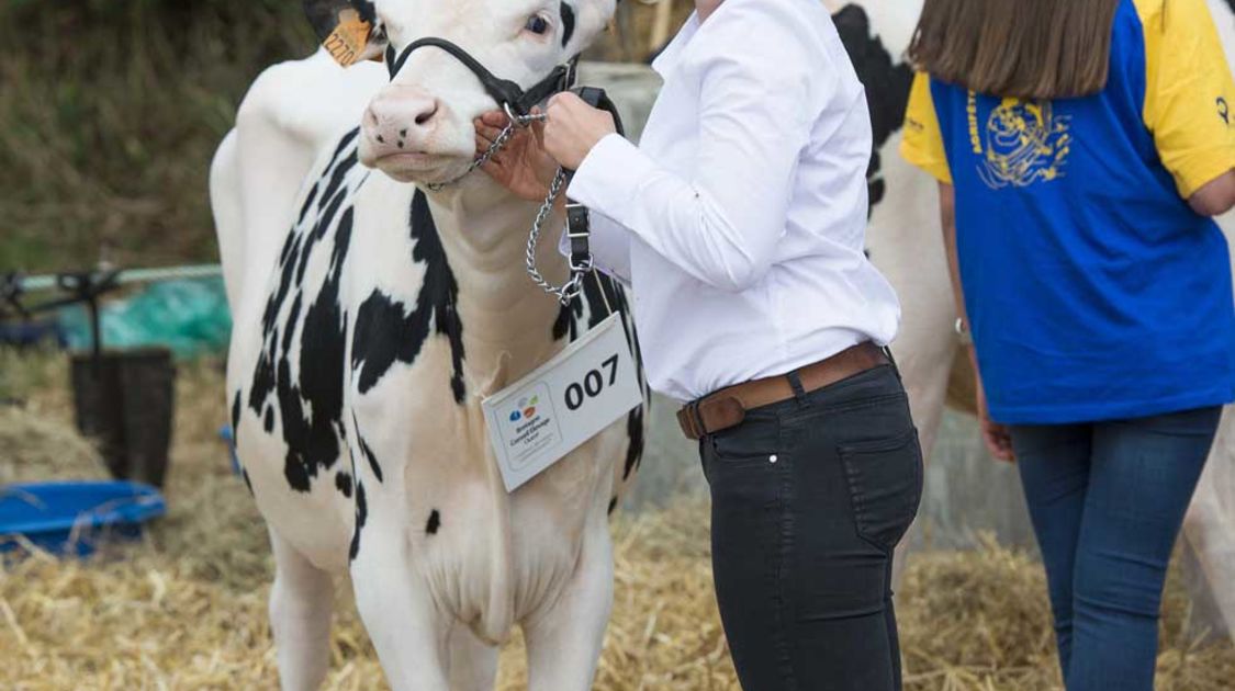 Agrifête à Quimper sur le site de Coat Bily le 21 août 2016 (5)