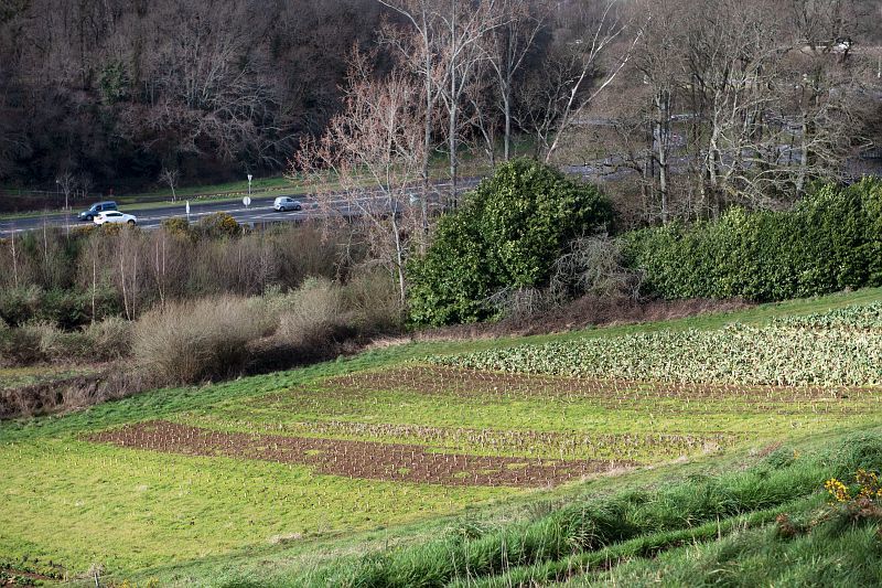 Projet alimentaire Territorial : Lancement d’une consultation citoyenne