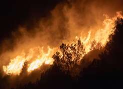 Ville et Agglo solidaires face aux incendies en Gironde et dans les Landes