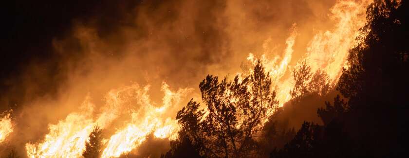 Ville et Agglo solidaires face aux incendies en Gironde et dans les Landes