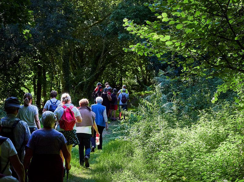 Randonnée: Un événement et un topo-guide sur les chemins de l’Agglo