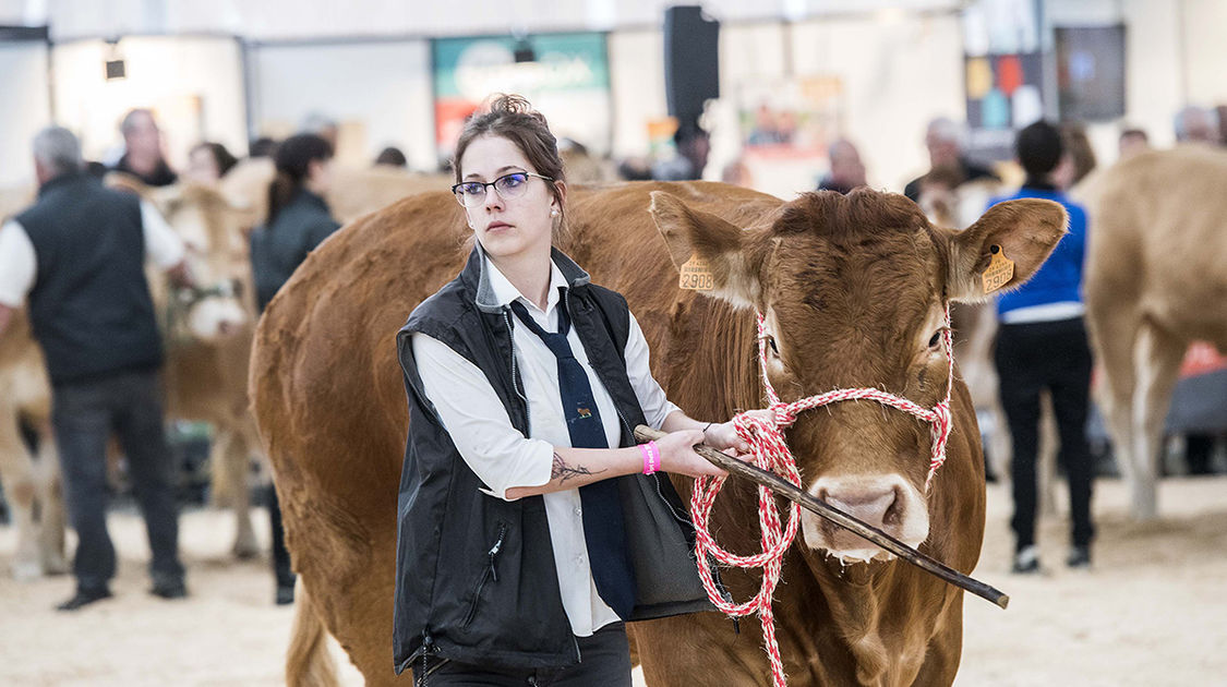 Le festival Agri deiz au parc des expositions à Quimper les 23 et 24 m (5)