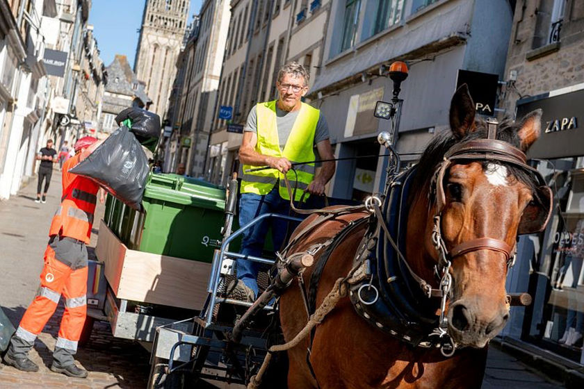 Une journée consacrée au « cheval territorial dans la ville » 