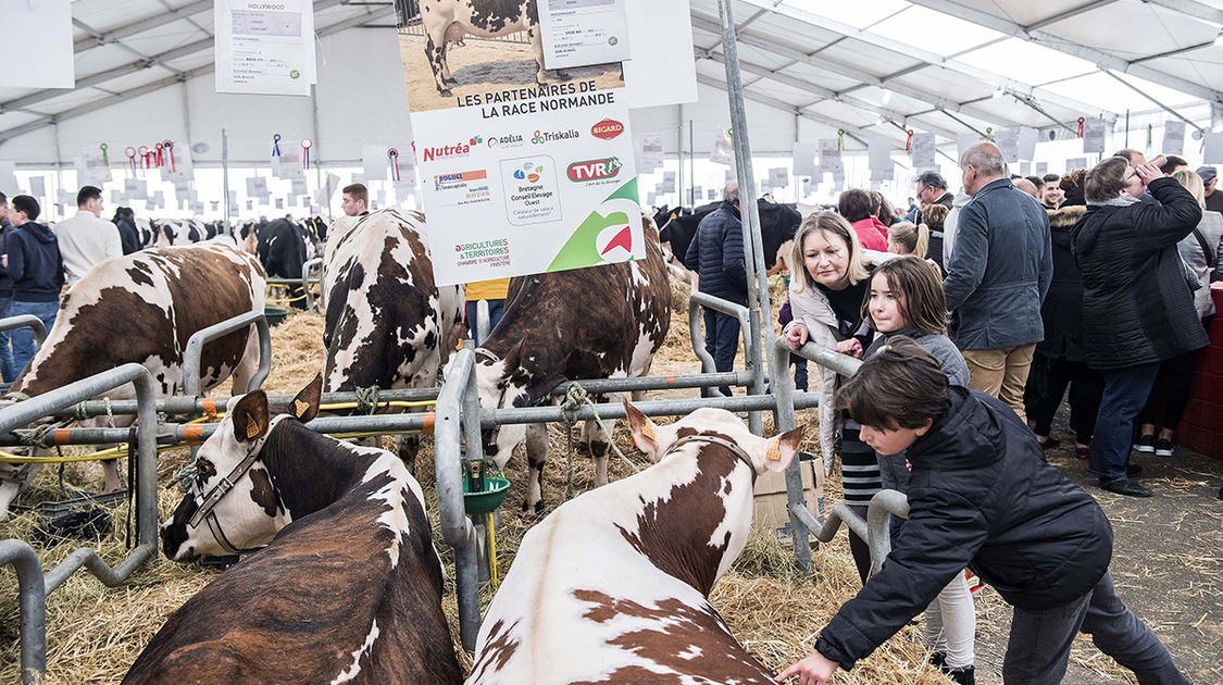 Le festival Agri deiz au parc des expositions à Quimper les 23 et 24 m (3)