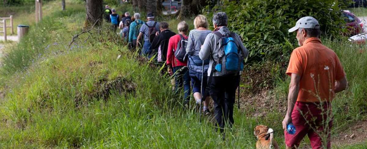 Sur les chemins de l’été, sentiers de randonnée : le programme 2025 disponible !
