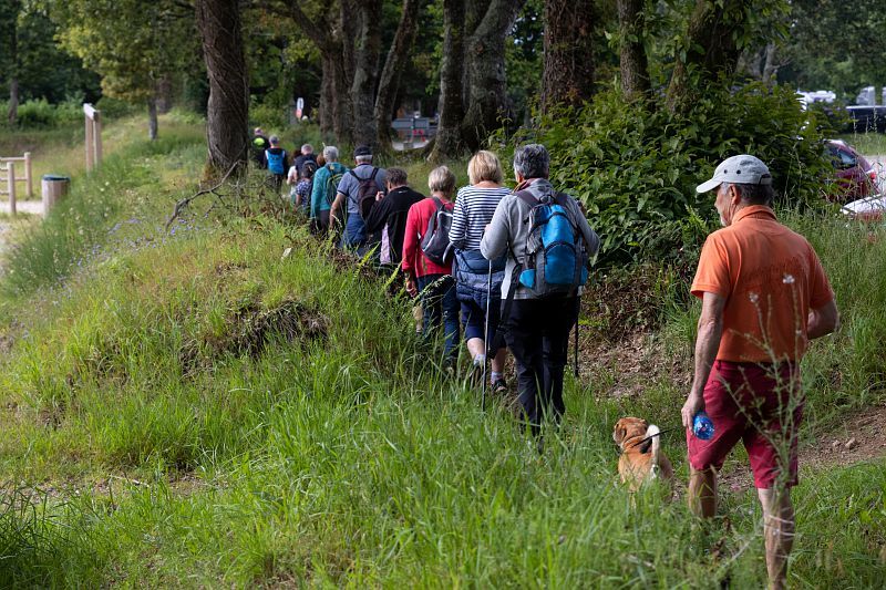 Sur les chemins de l’été, sentiers de randonnée : de juin à août 2024