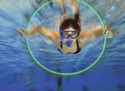 Aquarive : Horaires et programme d'animations - Vacances de Noël 