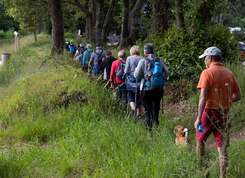 Sur les chemins de l’été, sentiers de randonnée : le programme 2025 disponible !