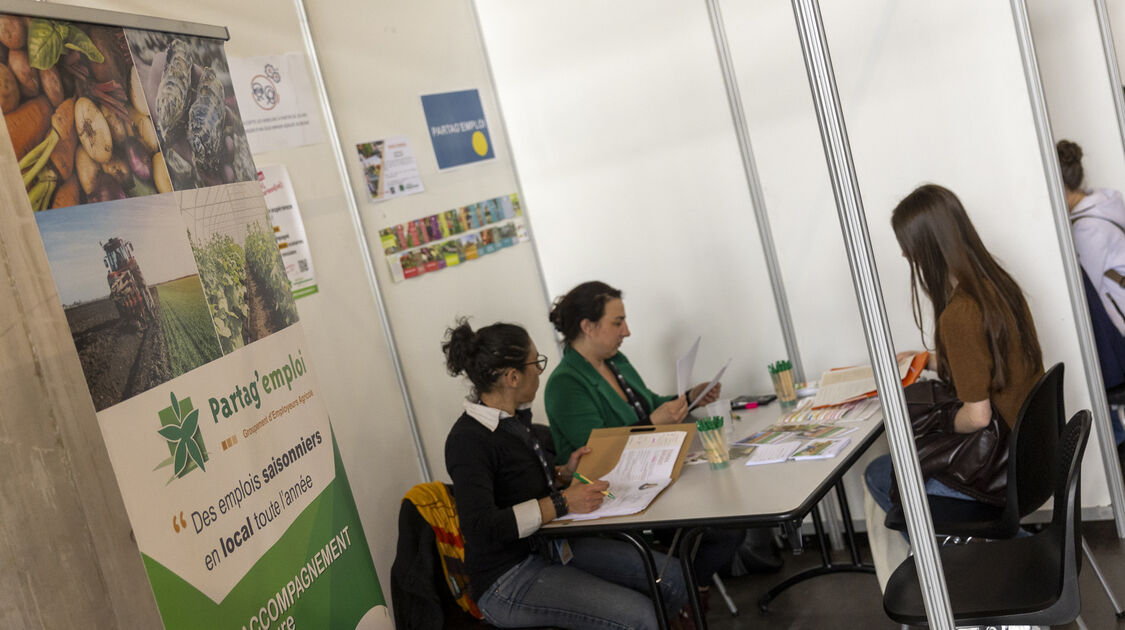 Forum job d'été 2026