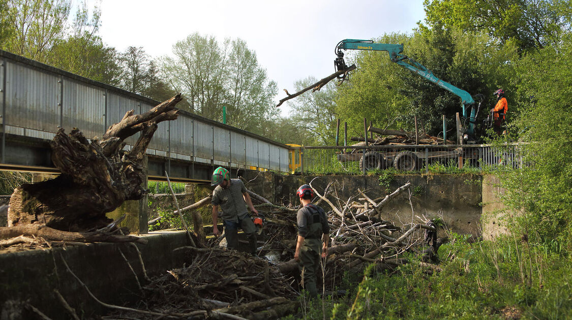 Intervention sur le Steïr : retrait des embâcles au Moulin Vert