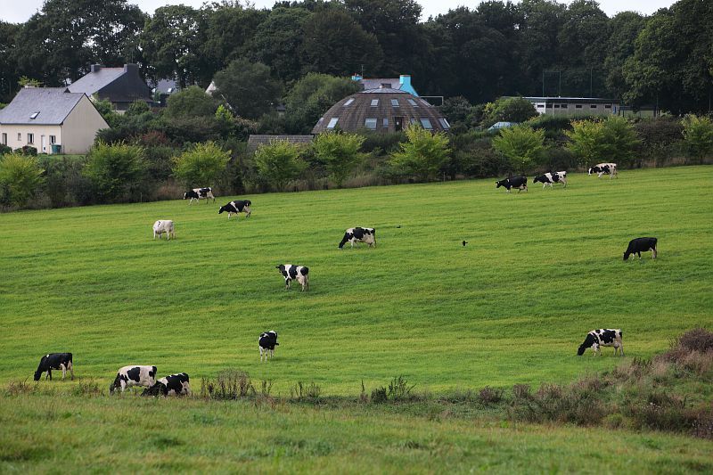 Projet alimentaire territorial : une nouvelle étape du projet de transition agricole