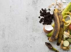 Lutte contre le gaspillage alimentaire : un diagnostic pour progresser